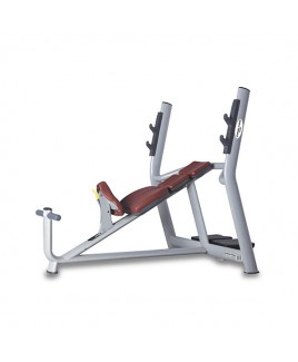 025A INCLINE BENCH (LUX)